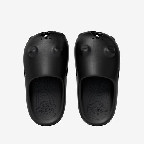 Gopher Slides